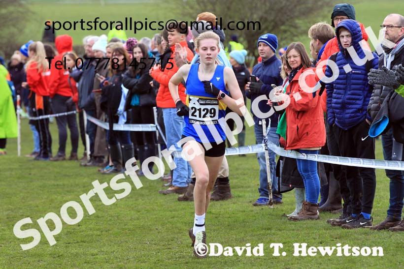 Womens Under-17s 2023 UK CAU Inter Counties Cross Country Champs, Prestwold Hall, Loughborough. Photo: David T. Hewitson/Sports for All Pics